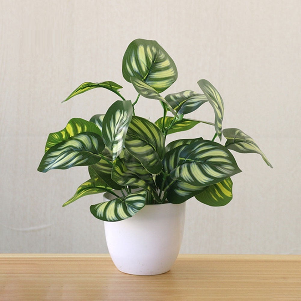 Kunstig Amerikansk Dieffenbachia Plante i Hvit Potte 22cm