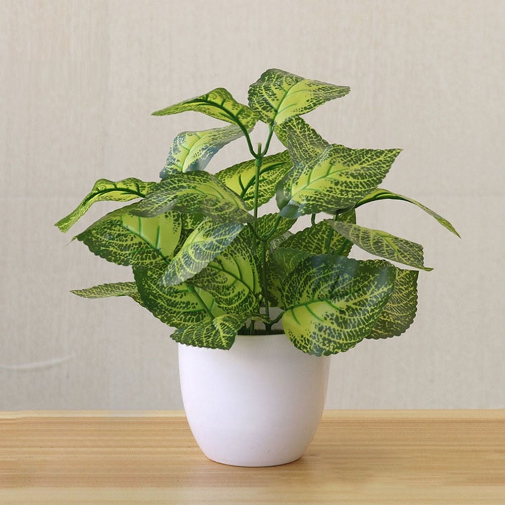 Kunstig Amerikansk Dieffenbachia Maroba i Hvit Potte 22cm