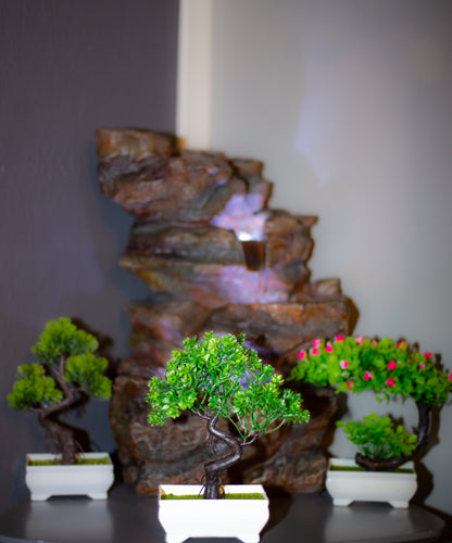 Kunstig Kinesisk Rosa Harland Boxwood Bonsai i Hvit Plastpotte 24cm