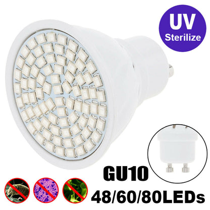 GU10-UVC-Ultravfiolett-Bakteriedrepende
